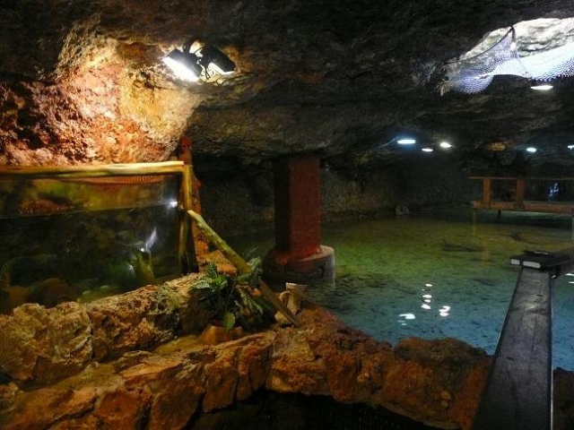 vista dell'acquario 